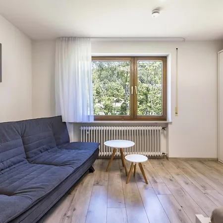 B463 Penthouse Apartman Albstadt